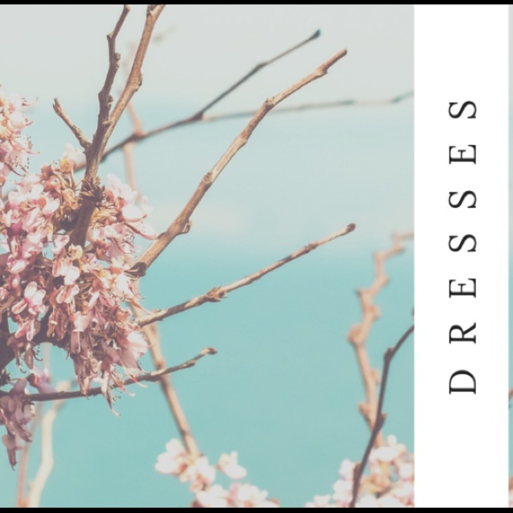 ~ WOMEN’S DRESSES ~